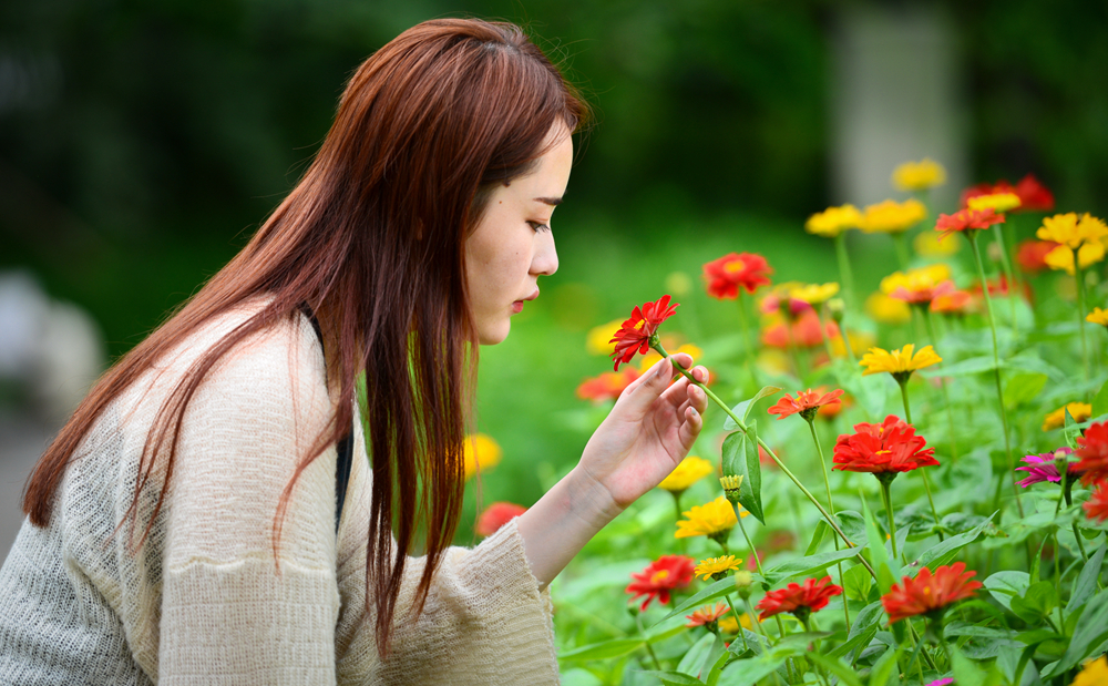 宜兴竹海的风景,推荐一个好的地方宜兴竹海