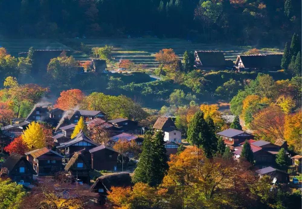 这八个健康知识一定要知道,大家最想知道的健康核心信息