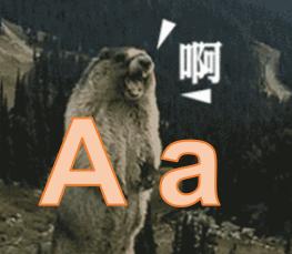 如何零基础学意大利歌曲,如何才能更有效的学习意大利语