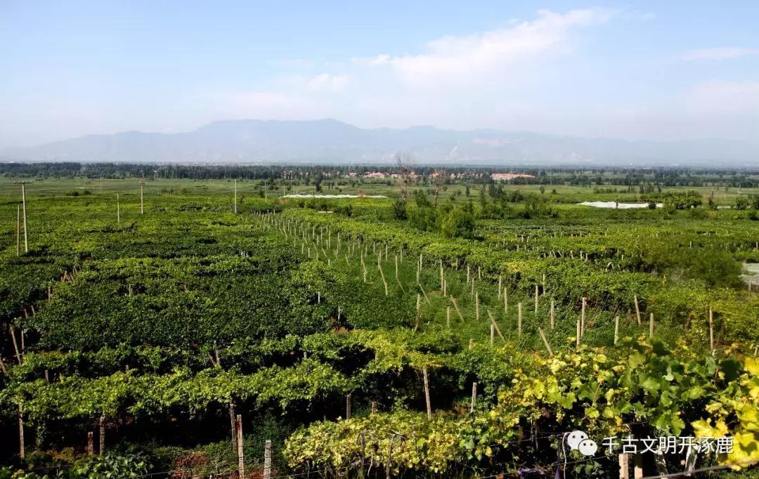 涿鹿发展,涿鹿县的发展