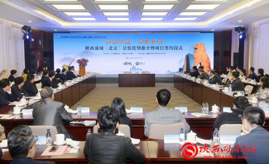 渭南新闻2019年12月20日,渭南新闻10月24日