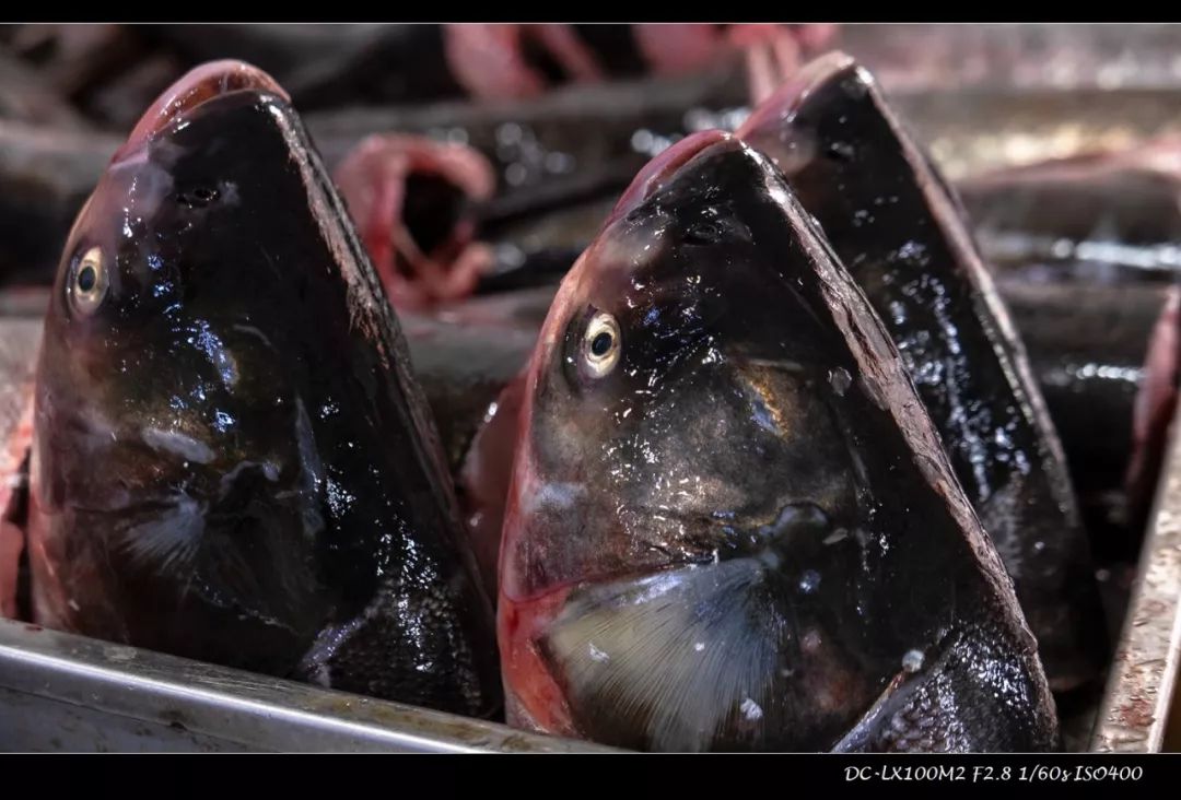 松下lx100m2有效像素,松下lx100ii深度评测