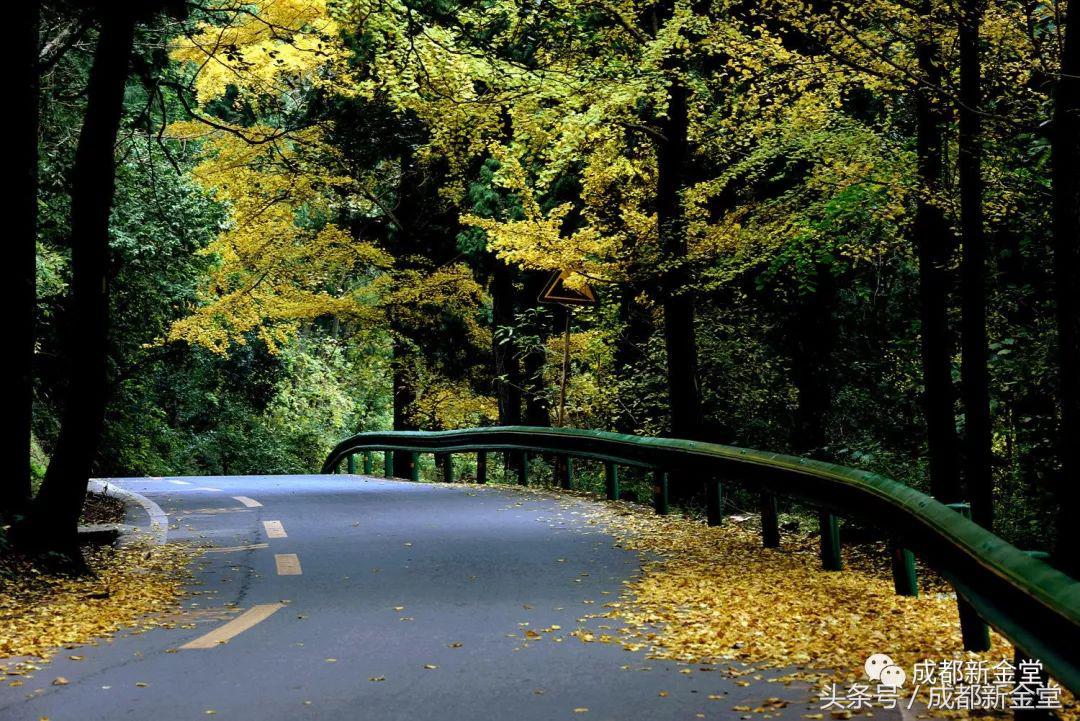 金堂秋色,秋天金堂十大必去景点