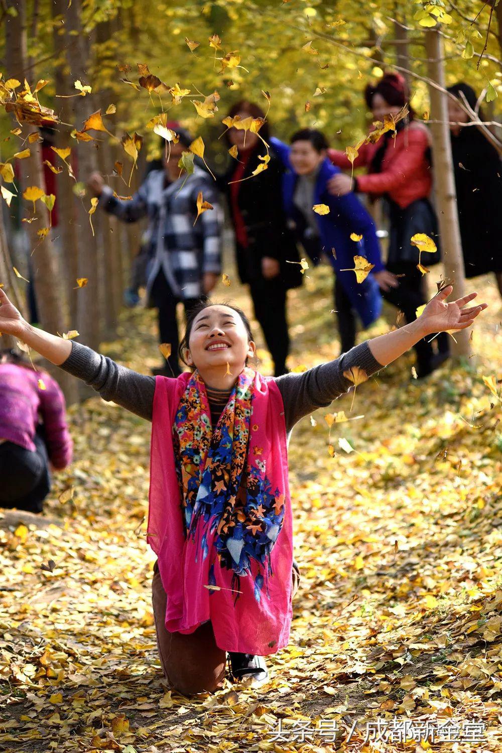 金堂秋色,秋天金堂十大必去景点