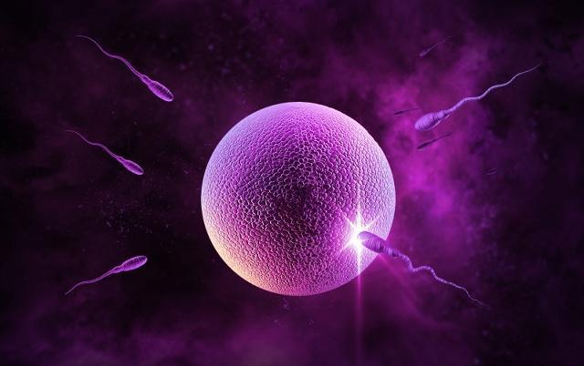 女人“安全期”的说法是真的吗?一个月中,这个时间或许较安全