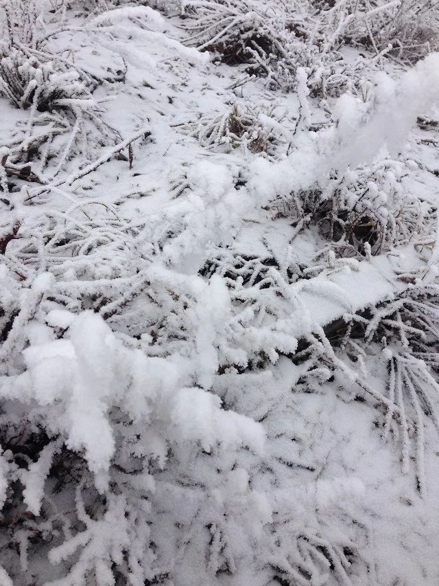 成都西岭雪山旅游攻略一日游一月,成都花水湾夏日旅游攻略