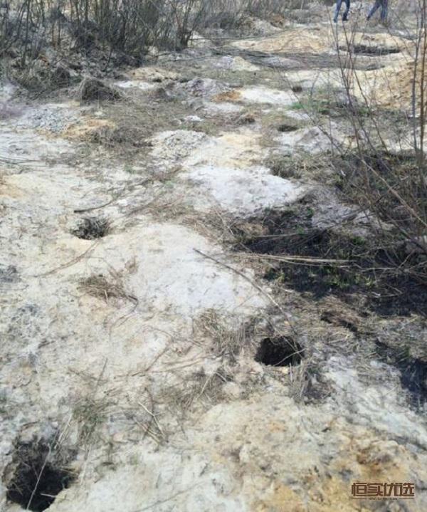 琥珀养生谣言,关于琥珀的谣言