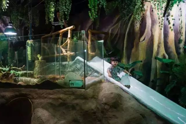 赛车卡丁车武汉,赛车场卡丁车武汉