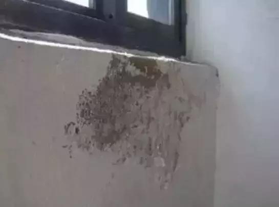 混凝土实用知识,混凝土的十大真相