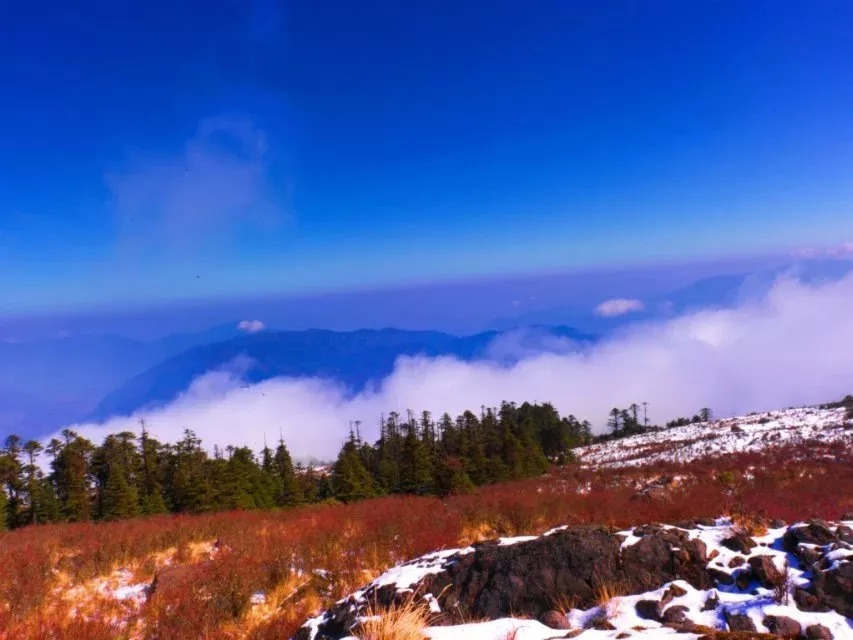 百慕大黑竹沟未解之谜,黑竹沟百慕大三角探险