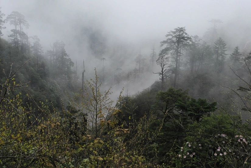 百慕大黑竹沟未解之谜,指南针失效