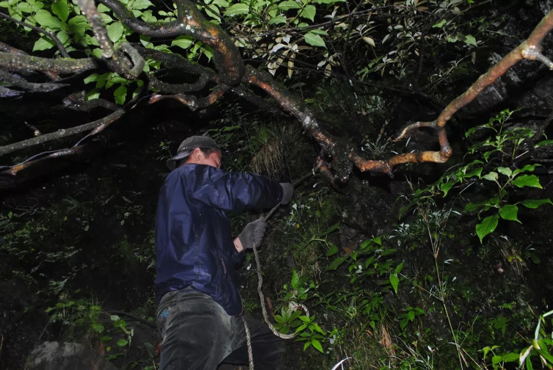百慕大黑竹沟未解之谜,黑竹沟百慕大三角探险
