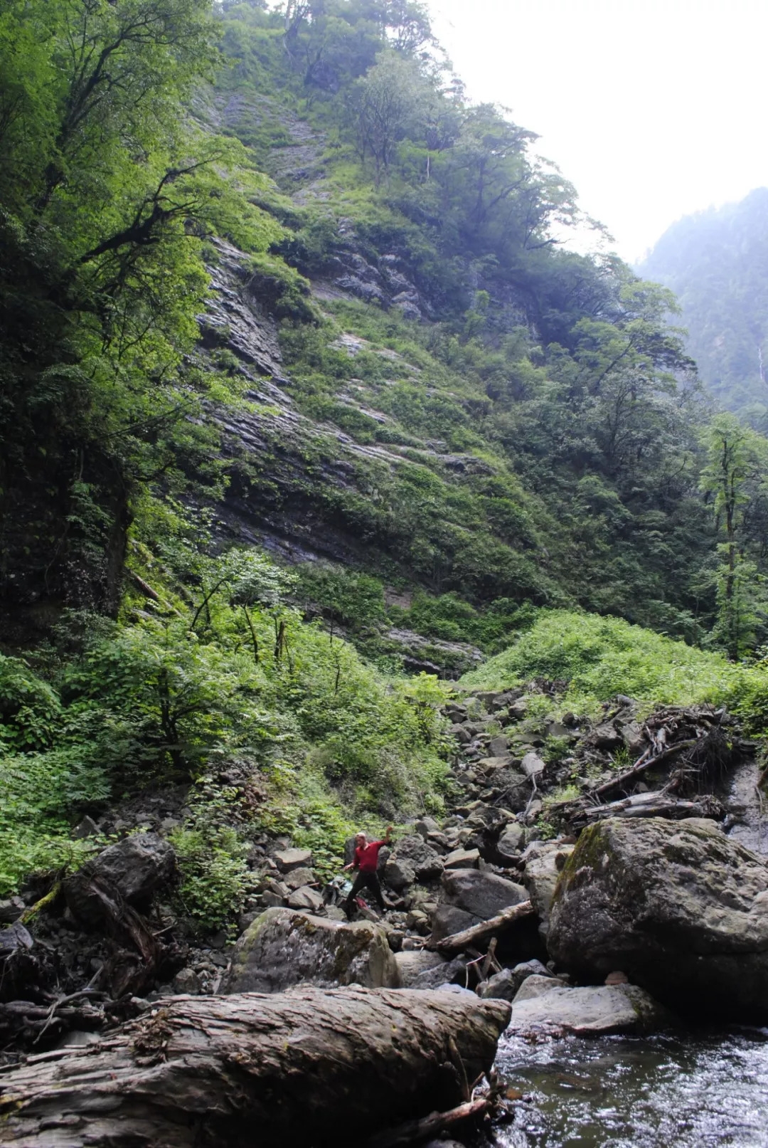 百慕大黑竹沟未解之谜,黑竹沟百慕大三角探险