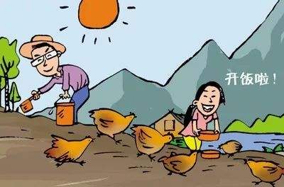 屋顶上撒米有什么说法,往房子里撒米有什么说法