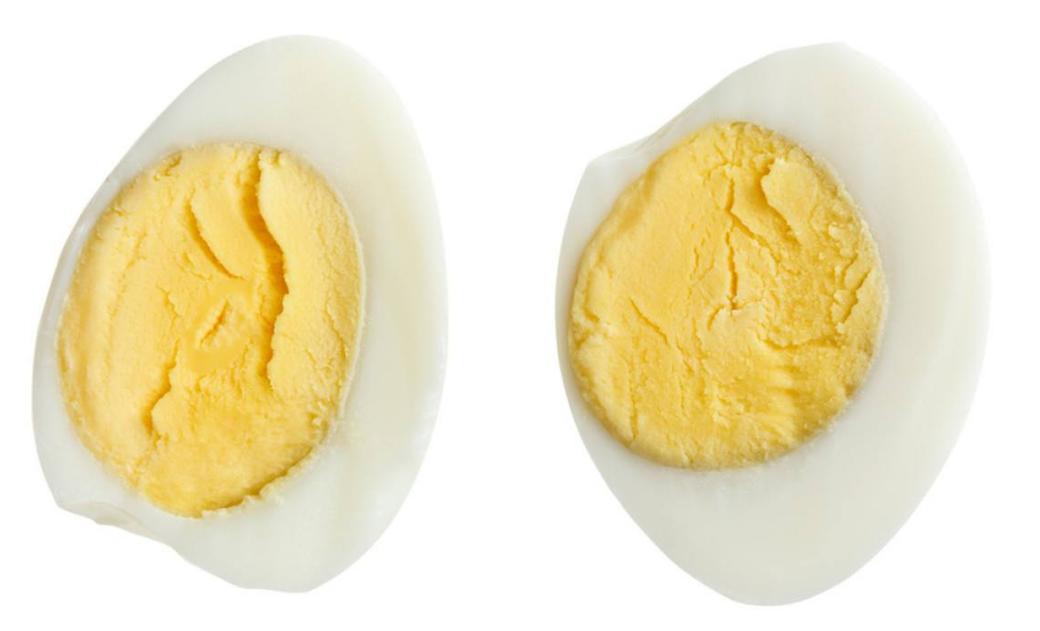 贵宾犬的毛发怎么养护,贵宾毛发变黄怎么改善