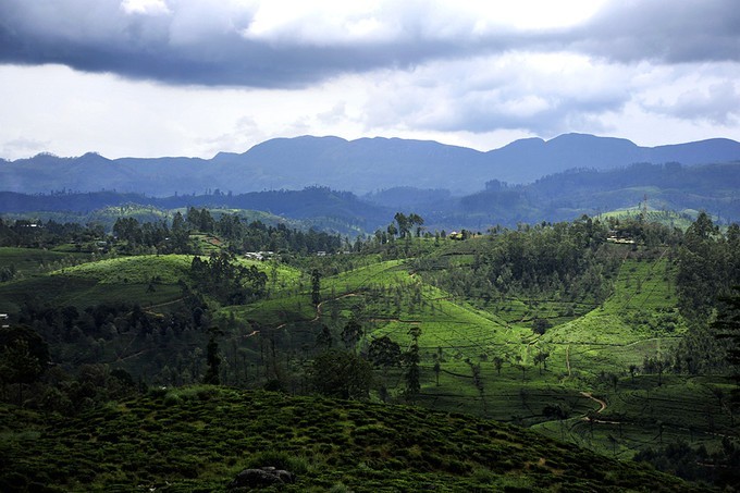 人文摄影斯里兰卡,锡兰风景