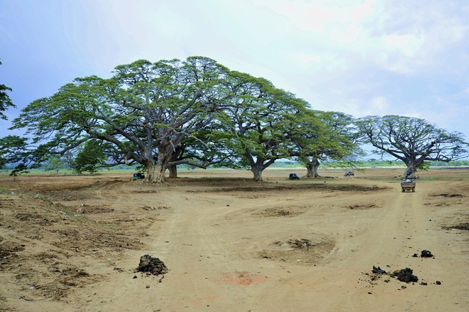 人文摄影斯里兰卡,锡兰风景