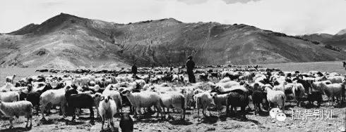 老*藏西**：真实的记录时间的重量