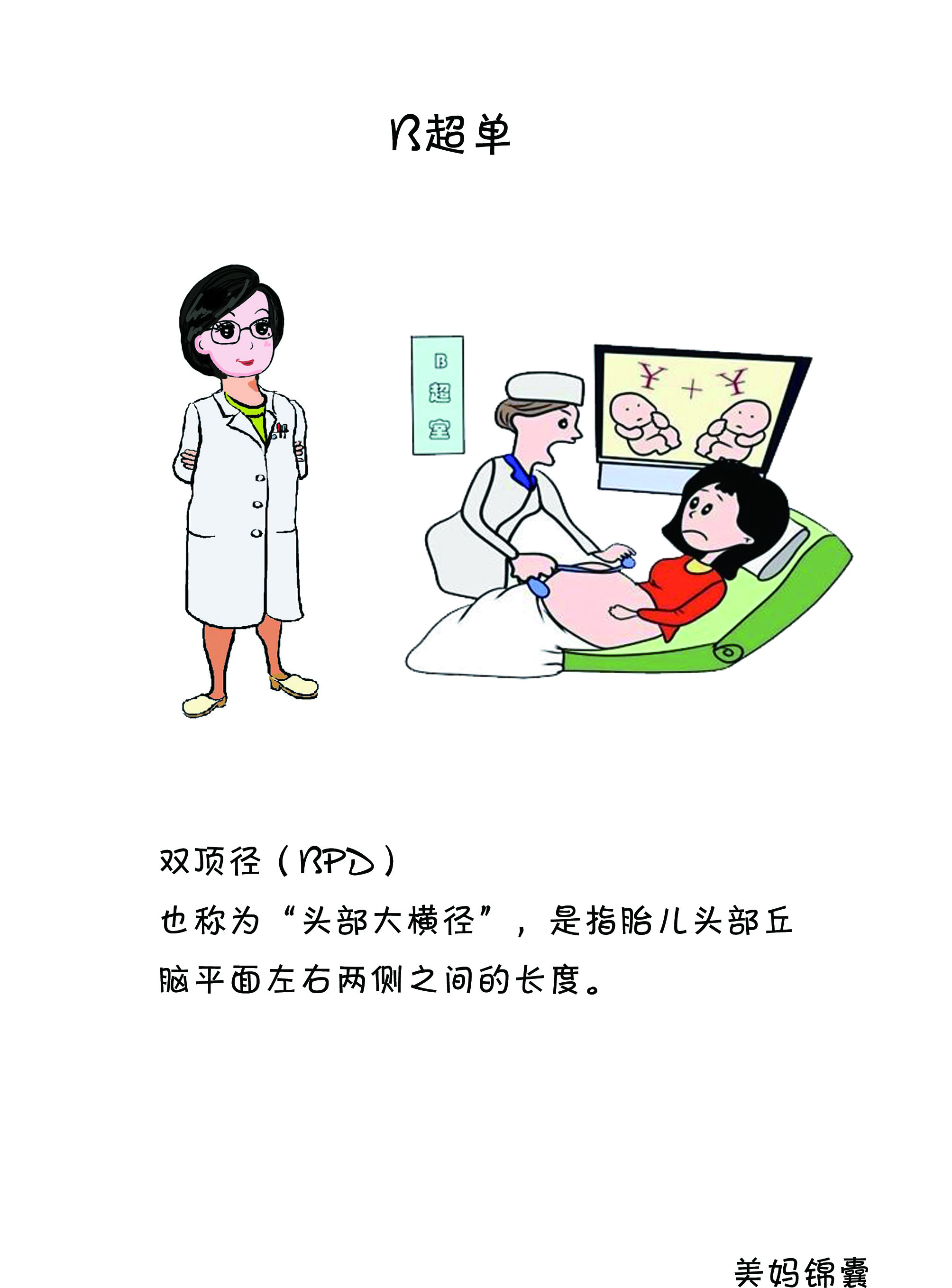 如何看b超单双肾图像,如何看b超单图像是圆形还是长形