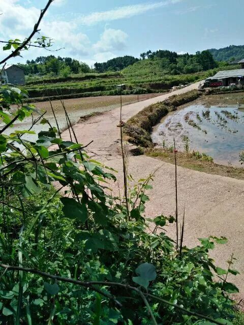 湘西小城故事特别多,小城故事湖南