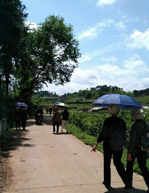 湘西小城故事特别多,小城故事湖南