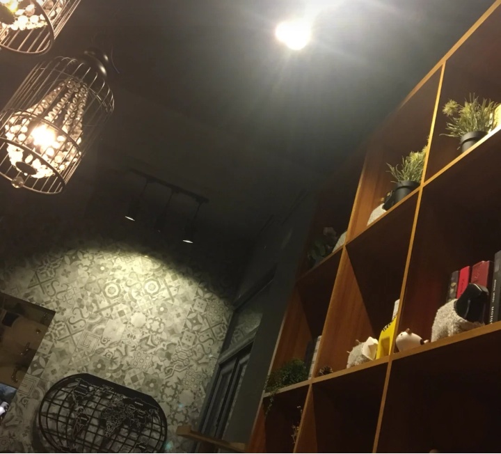 慵懒喵喵吸猫场所,吸猫者必去的十个地方