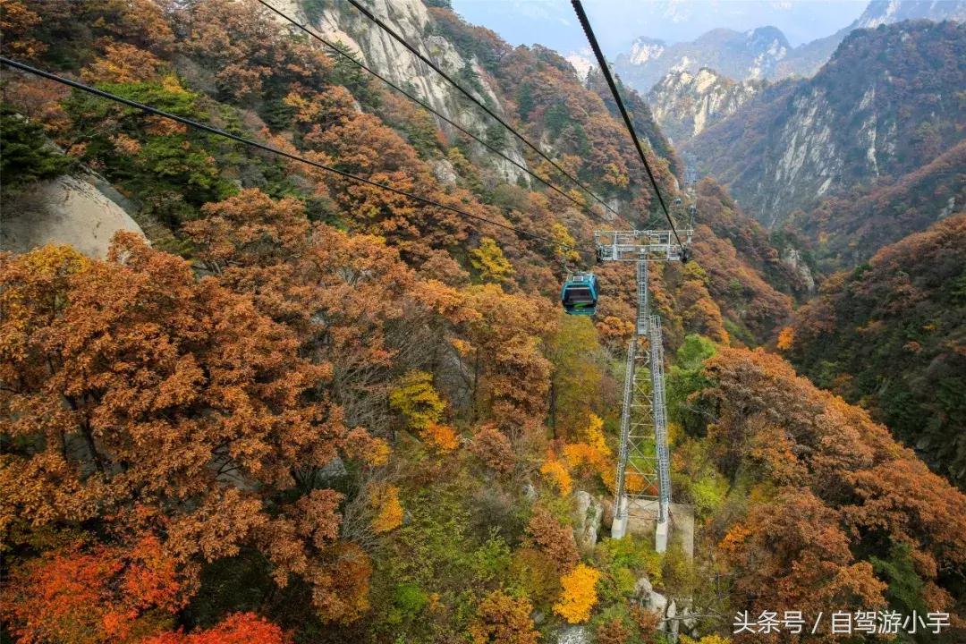 河南省赏红叶一日游,河南省秋天红叶最佳去处