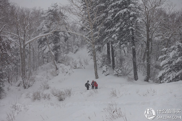 日本旅游签证流水账单,日本旅游要看账户流水不