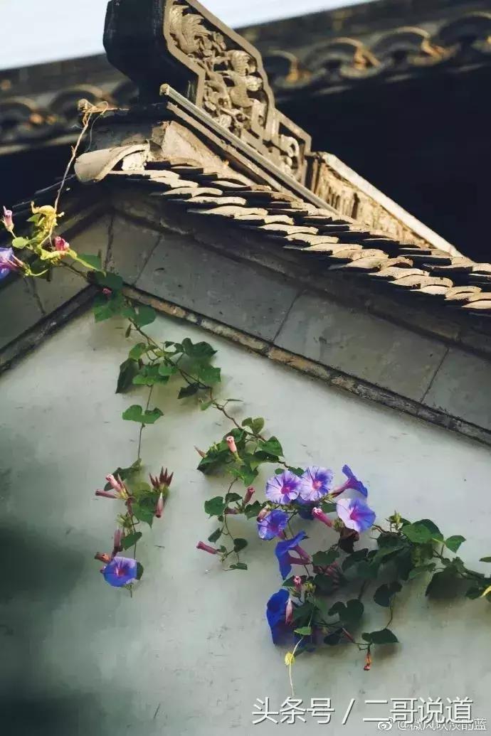 来南京一定要逛逛老门东风景区,南京老门东和老东门