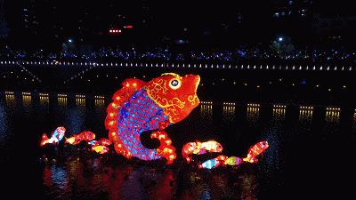 宣恩县县长宣传贡水白柚,恩施宣恩贡水白柚