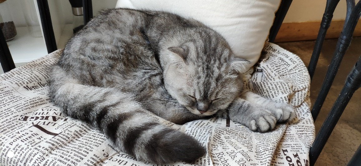 滑盖和全面屏，这次小米做得并不差！小米MIX3详细评测