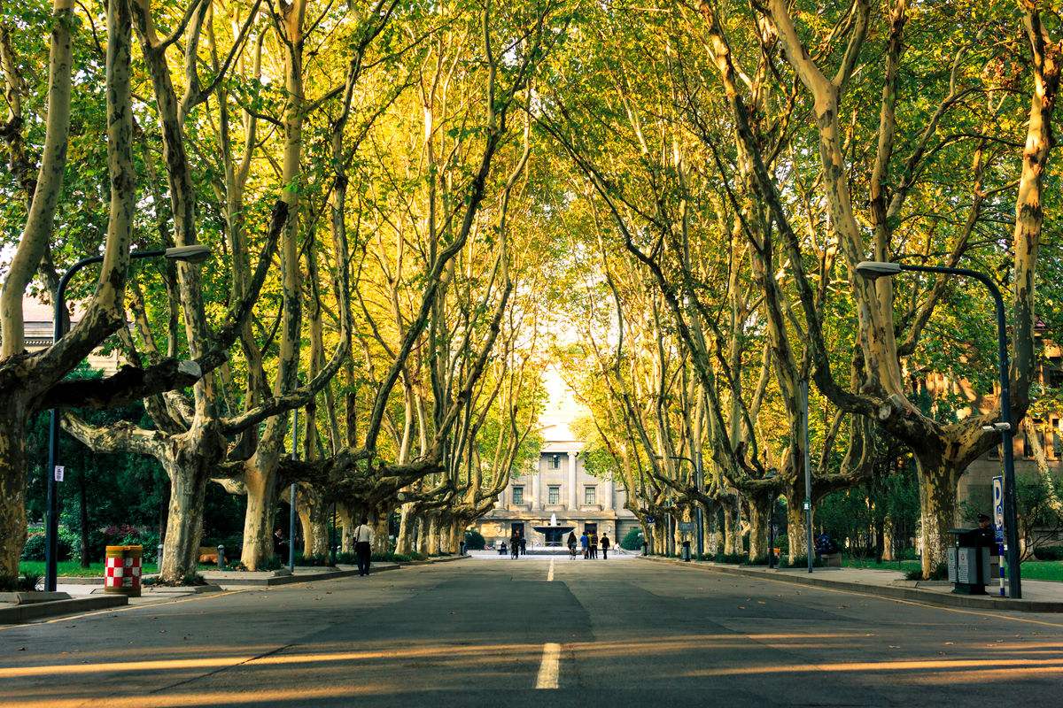 东南大学为什么叫东南大学,为什么东南大学工科无敌