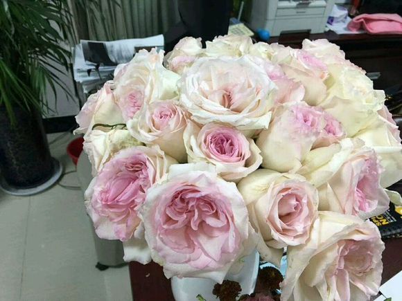 插花艺术的认识和方法,艺术插花的13个基本技巧