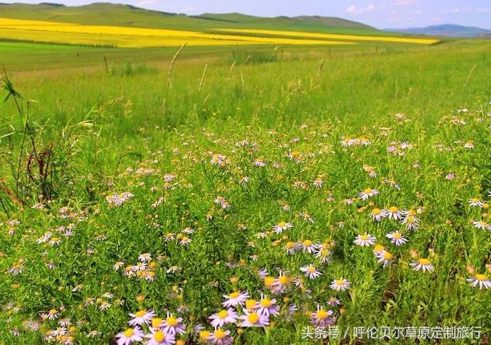什么是呼伦贝尔大草原,什么是呼伦贝尔
