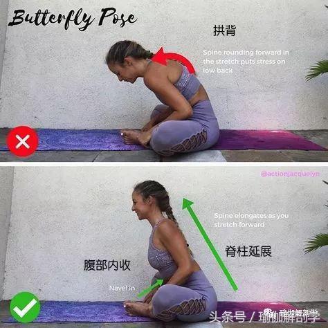 初学者必懂的13个基本瑜伽常识,瑜伽拜日式108遍口令视频中文