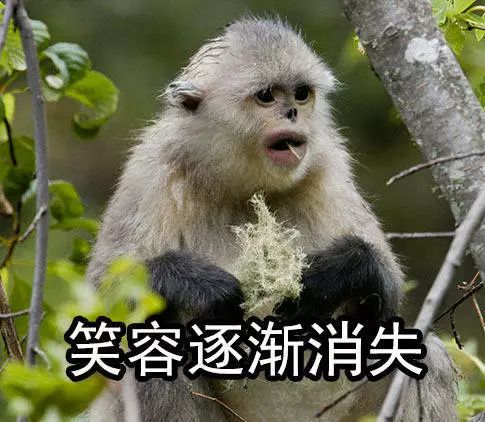 玻尔丹麦门将,足坛名宿玻尔