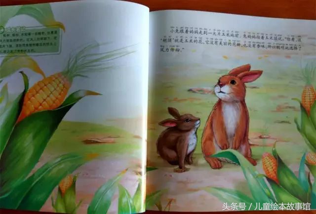 儿童绘本故事美丽的风景,花儿的故事绘本