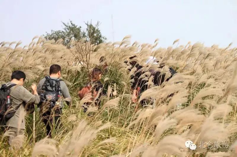 北仑十大爬山景点,北仑免费爬的山有哪些景区