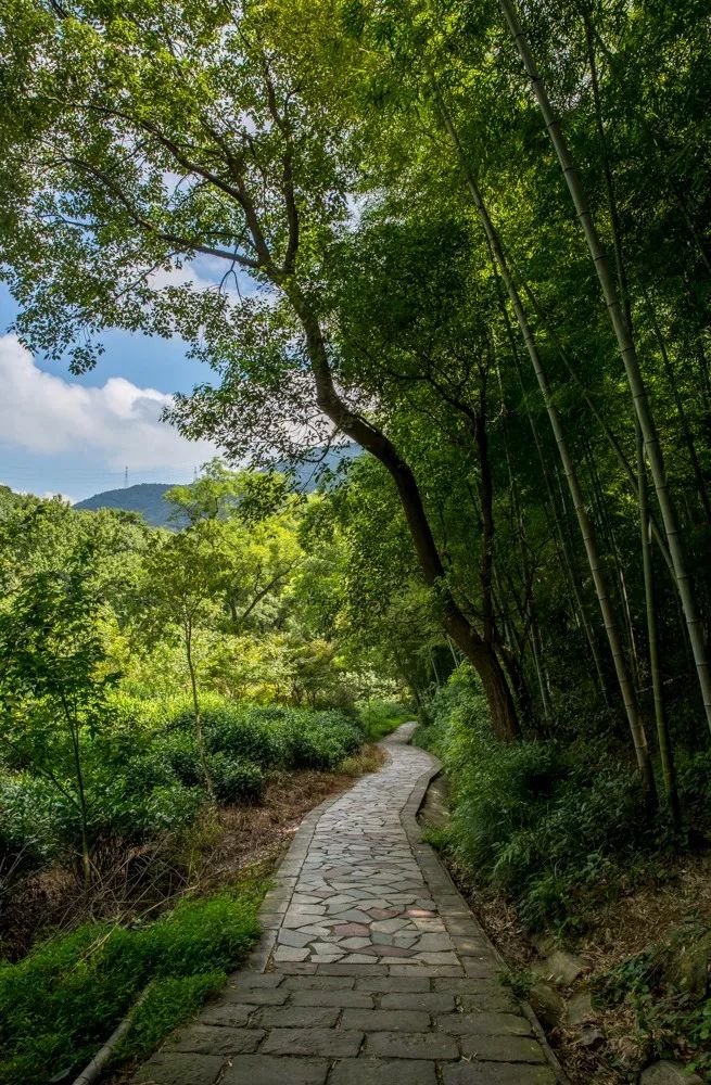 北仑十大爬山景点,北仑免费爬的山有哪些景区