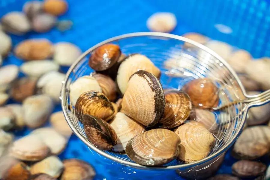 逛水族馆满脑子都是海鲜,水族馆里的海鲜