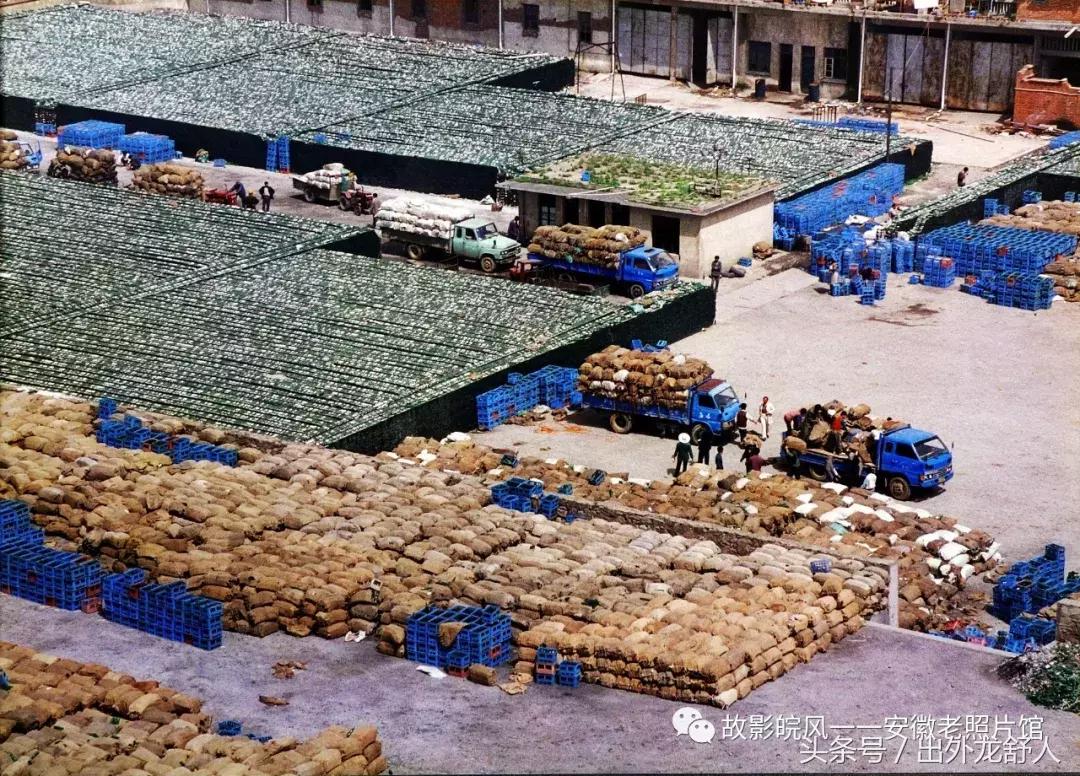 光“徽”岁月——影像见证安徽40年（一）