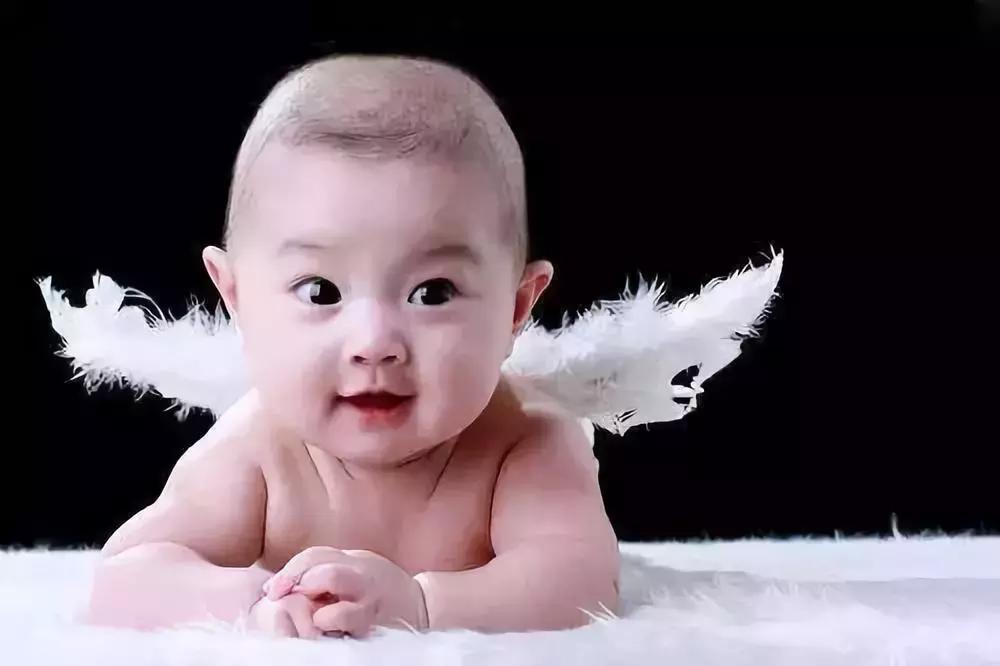 伊利君乐宝飞鹤三元,飞鹤与君乐宝纯牛奶