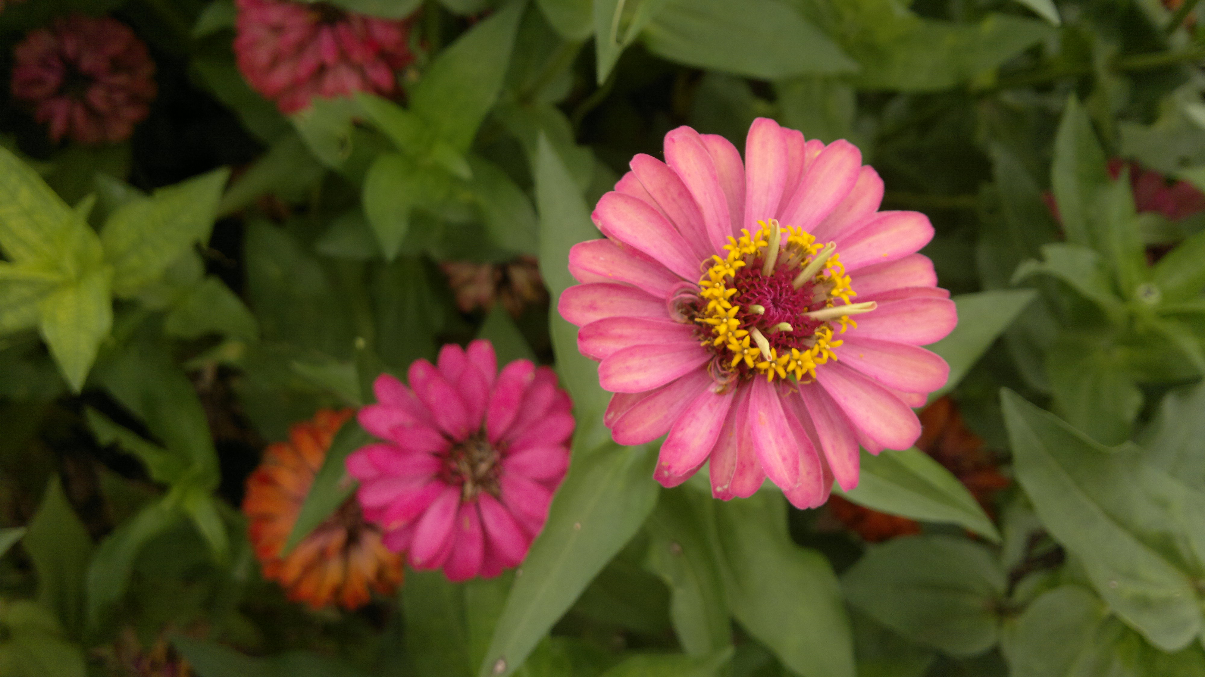 小米mix3用两年卡吗,小米mix3还值得换屏吗