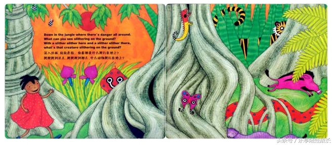 animalboogie绘本,thebook绘本磨耳朵