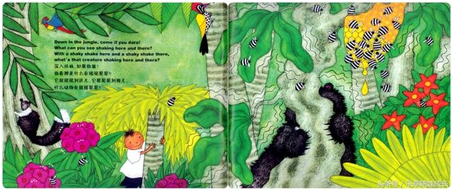 animalboogie绘本,thebook绘本磨耳朵