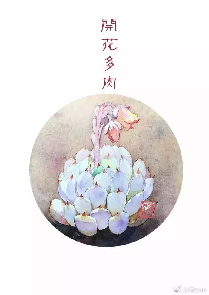 多肉上色真正的原因,多肉上色的变化