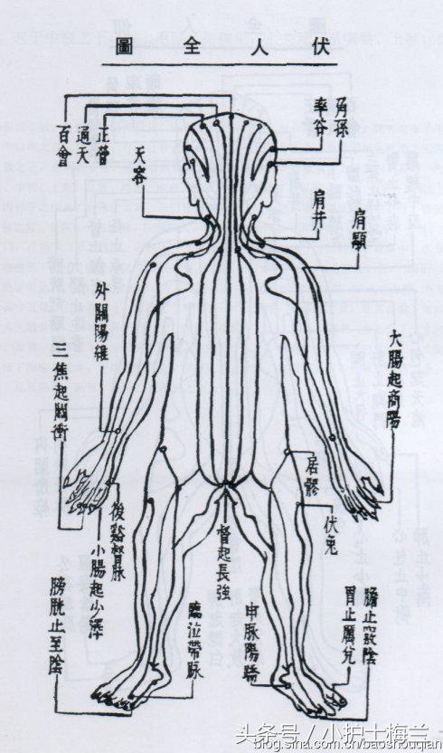 任督二脉功法图,真气打通任督二脉图解