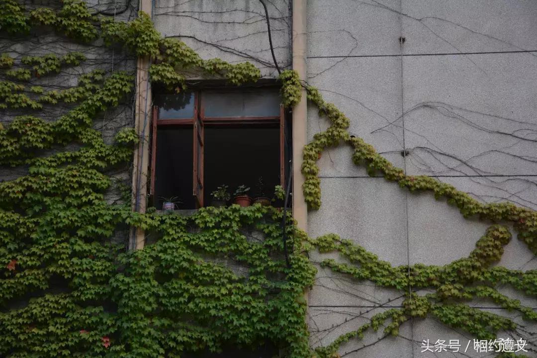 遵义八七厂的照片,遵义八七厂做什么的