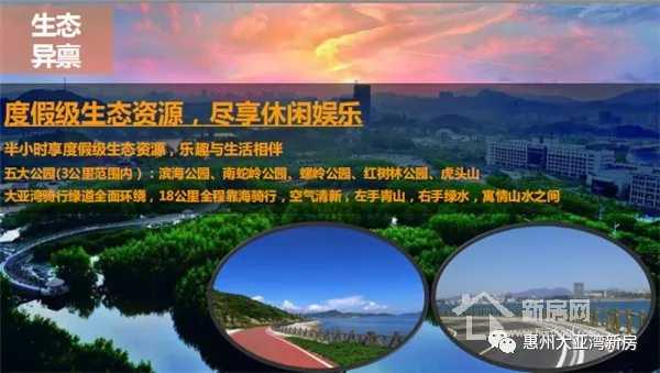 大亚湾澳头新力琥珀园,惠州大亚湾中心区新力东园