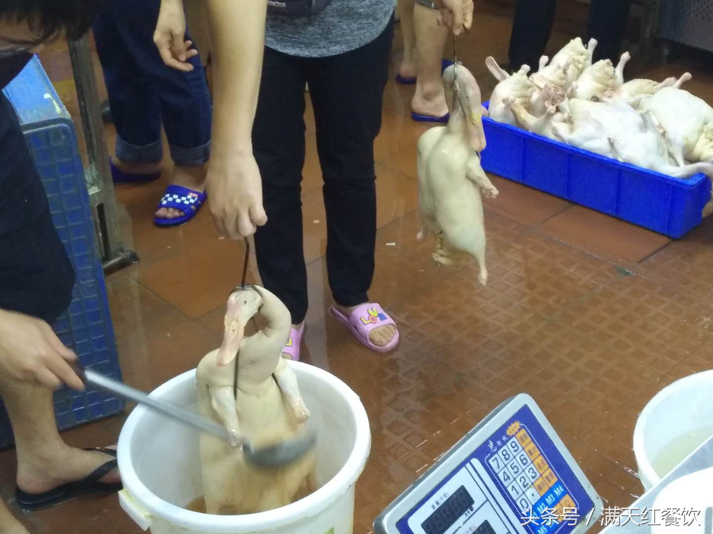 脆皮烧鸭做法如何做到干香脆皮、烤香味浓浓？分享几个技术细节